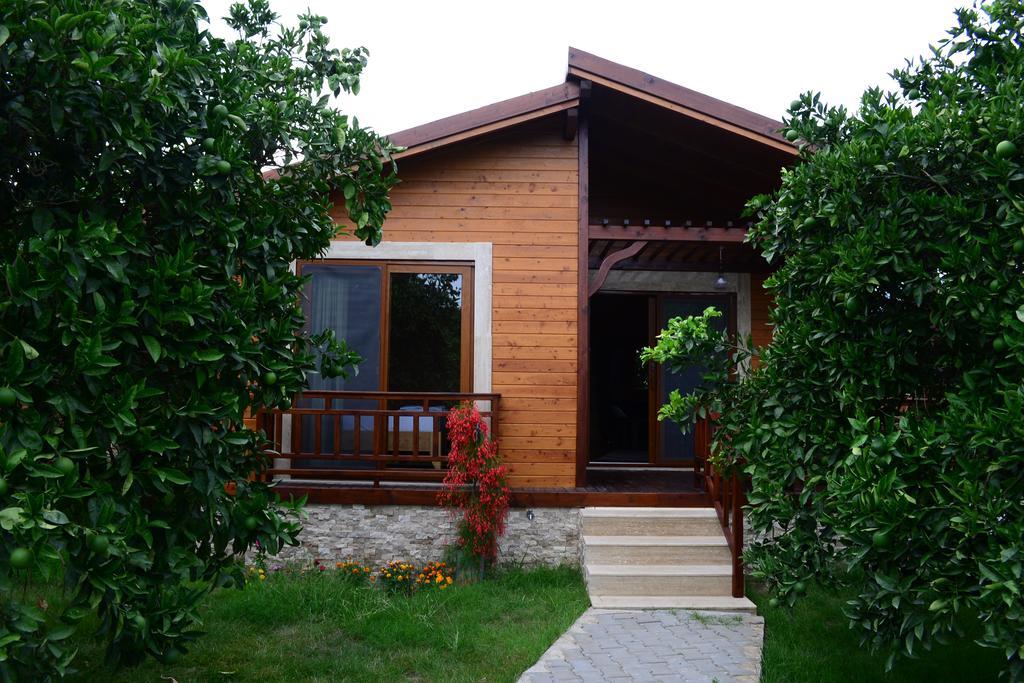 Villa Bilge Çıralı Habitación foto
