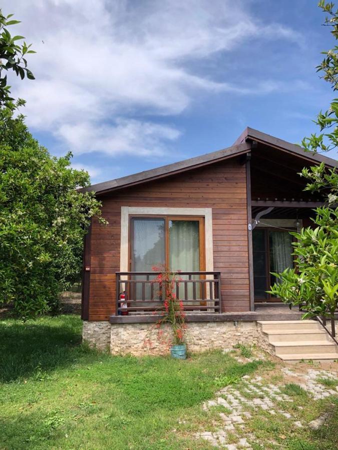 Villa Bilge Çıralı Exterior foto